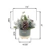 Flora Bunda Xmas Mix in Believe Ceramic Footed Pot Off-White