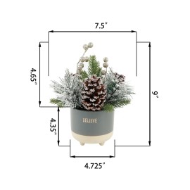 Flora Bunda Xmas Mix in Believe Ceramic Footed Pot Off-White