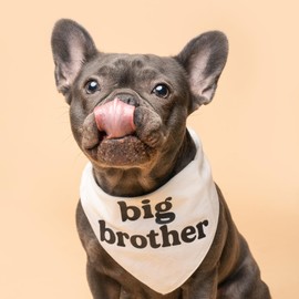 Big Brother Dog Bandana | 100% Unbleached Cotton Adjustable Triangle | Pregnancy Announecment | New Baby Matching Family | Natural X-Small (887) GB