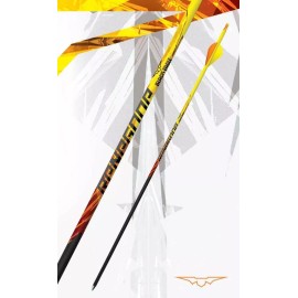 Black Eagle Arrows Renegade Fletched Arrows 6 Pack - 300
