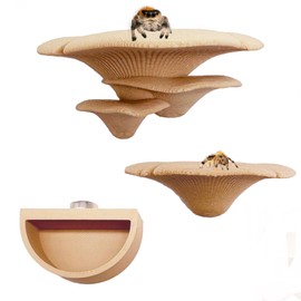 Heyshapeing Jumping Spider Mushroom Shelf - Magnetically Concealed Habitat & Enclosure Decor Accessories, Climbing, Feeding Platforms, and Decorative Green Shelves for Jumping Spiders (Beige)