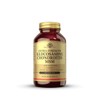 Solgar Extra Strength Glucosamine Chondroitin MSM - 120 Tablets
