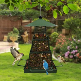 OUISJYER Green Metal Bird Feeder, Hanging Wild Bird Feeders for Outside Hanging Squirrel Proof Wild Birdfeeders with 4 Perches Large Seed Capacity Large Proof