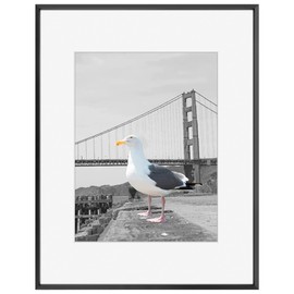 Frametory, 16x20 Metal Picture Frame with Mat for 11x14 Picture & Real Glass, Aluminum Photo Frame Collection (Black, 1 Pack)