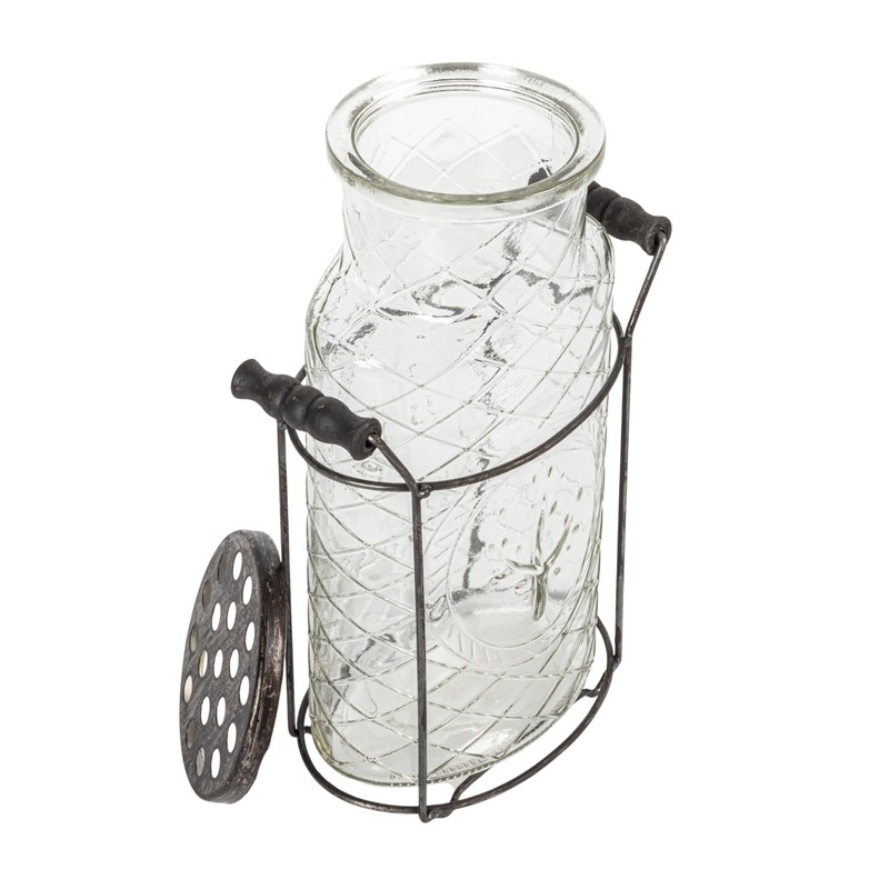 Creative Co-Op Glass vase in Metal Stand with Metal Frog
