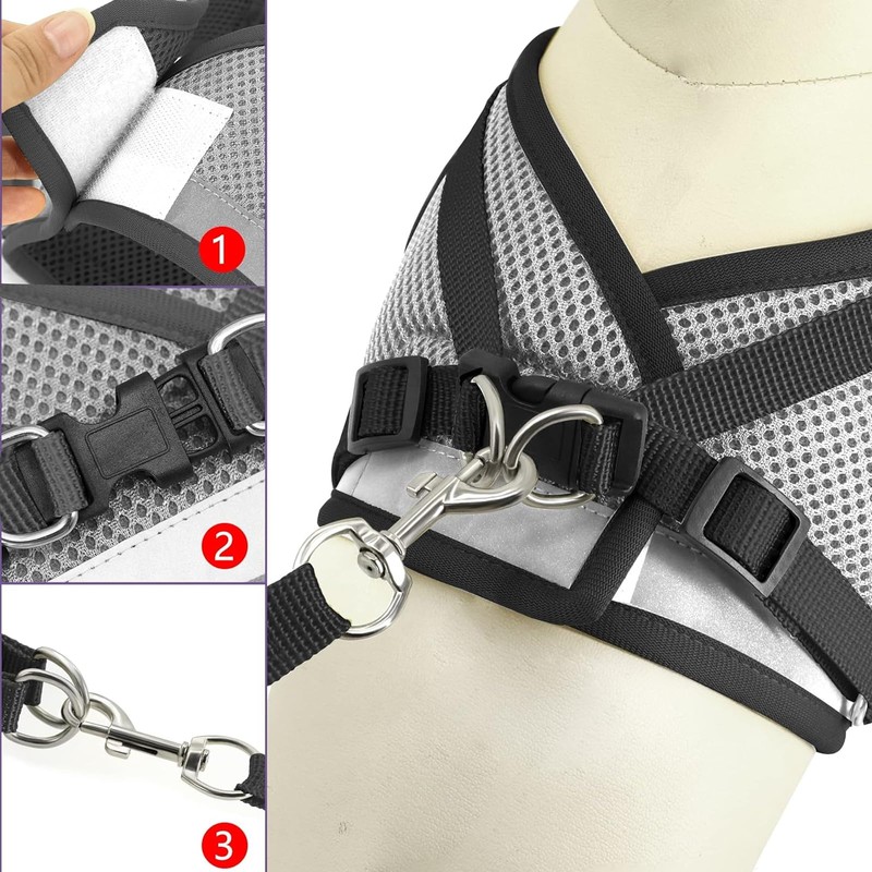 Cat Harness and Lead Set, No Escape 5 M Automatic