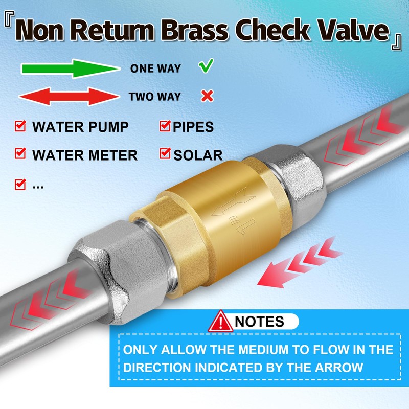 Boltigen 2Pcs 1in NPT Spring Check Valve, Brass Non Return