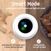 ORSDA 2in1 Interactive Toys for Indoor Cats, Timer Auto On/Off,