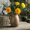 Tanvecle Brown Ceramic Vase with 2 Handles, Modern Farmhouse Vase