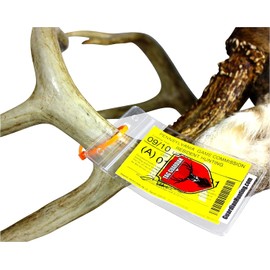 Hunting License Holder and Tag Holder - Waterproof and Zip Ties Included for Securing, Great for Deer, Turkey, Elk (3 pack)