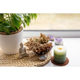 TWO Jumbo Rose of Jericho Flower | Flor de Jericó - Resurrection Plant I Selaginella Lepidophylla | Dried Rose I Sacred Rose I Doradilla Plant | 2.5'' - 3'' I Spiritual Cleansing, Luck, and Prosperity