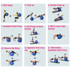 Stability Ball Exercises for a Stronger Core Swiss Yoga Balance Balls (Purple, 55CM)