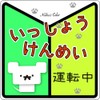 Na7na's Color Car Magnet Sticker for Driving Beginner Mark Water