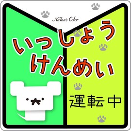 Na7na's Color Car Magnet Sticker for Driving Beginner Mark Water Resistant UV Protection 5.8 inches (14.8 cm) (Green)