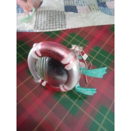 Unbranded Santa Floating on Pool Raft Christmas Holiday Ornament Glass