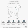 DOG Copenhagen Urban Explorer 3.0 Collar, Desert Dune, Small