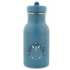 Trixie - Children's Stainless Steel Water Bottle 350ml (Mr. Triceratops)