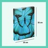 Baagl File Box for School Bag A4 – Portfolio Folder