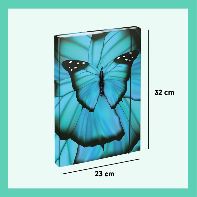 Baagl File Box for School Bag A4 – Portfolio Folder