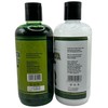 Shampoo Organic Bergamot + Conditioner (16.9 fl oz) with Aloe