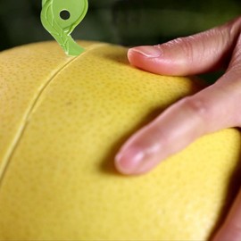 Orange Peeler - Grapefruit Peeler, Orange Peeling Tool - Fruit Cutter Peeler Scraper, Ergonomic Citrus Peeling Remover for Oranges Grapefruits Lemons