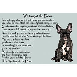 French Bulldog Frenchie Memorial dog pet loss Flexible Fridge Magnet - Waiting at the Door