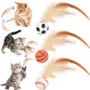 JIGCEN 3 Pack Cat Toy Ballm, Indoor Entertainment Feather Mixed