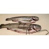lilawelt24 10 x Smoking Hooks – Hooks for Fishing, Fish