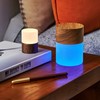 Gingko 7 Colour Changing RGB Large Lemelia Night Lights, Long