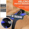 Essential Dog Harness, No Pull Pet Harness with 3 Side