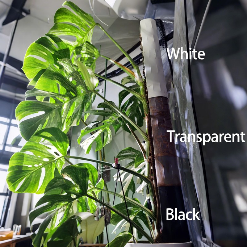 D Shape Sphagnum Moss Pole for Climbing Plants - 6