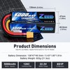 Zeee 6S 5000mAh Lipo Battery 22.2V 120C Hard Case Battery