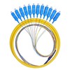 Lianshi 12 Fibers SC Single-Mode Color-Coded Fiber Optic Pigtail