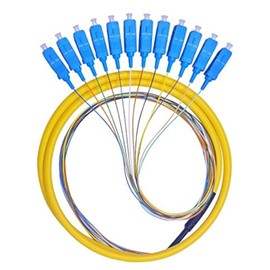 Lianshi 12 Fibers SC Single-Mode Color-Coded Fiber Optic Pigtail