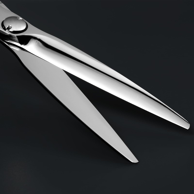 AOLANDUO VG10 Steel Pro Barber and Stylist Hair Cutting Scissors,