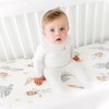 Stretchy Ultra Soft Jersey Knit Fitted Pack n Play Sheets