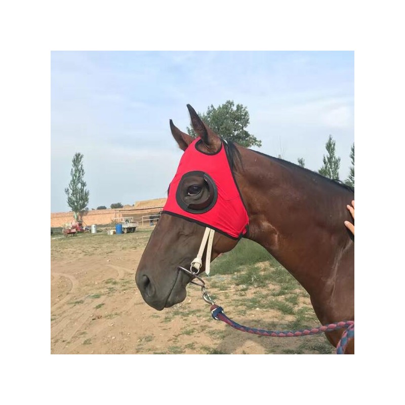 경주마 아이마스크 가리개 모래 방지 보호 [블루벨트] Racehorse Eye Mask