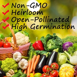 Tomato Seeds - Evergreen - 300 Mg Packet ~70 Seeds - Solanum lycopersicum - Non-GMO, Heirloom - Farm & Vegetable Garden