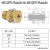 CheeMuii 2 pcs Bulkhead Brass Pipe Fitting Anchor Coupling Bulkhead