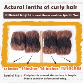 Afro Kinky-Curly Human Hair Bulk for Twist, Dreadlocks Making, Repairing and Extending Locs,100% Afro Kinkys Bulk Human Hair Ombre color, 50g/pack Can be Dyed (#30/1B/#30) (16inch)
