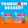 Jell-O Orange Sugar Free Gelatin Dessert Mix (24 ct Pack,