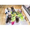 Viking Toys Frog Jump with Play Mat