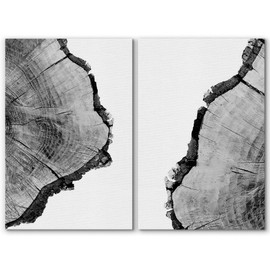 SIGNWIN Canvas Wall Art Black and White Trees Ring Detail Print Nature Wilderness Mixed Media Farmhouse/Country Closeup Relax/Calm Duotone for Living Room - 16" x 24" x 2 Panels