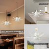 YQL Socket Ceiling Fan Light - Screw in Fan and