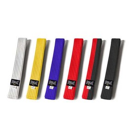 Everlast Taekwondo belt / 태권도 띠 태권도벨트