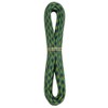 BLUEWATER ROPES 7mm x 30ft Sprout Accessory Cord (499730SP)