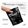 Creatina Monohidratada Pura en Polvo B-Fit 600g - 120 Servicios