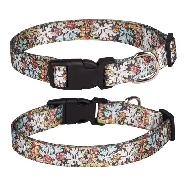 Pimaodog Dog Collar for Small Medium Large Dogs, Cute Girl