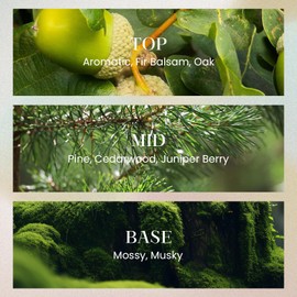 M&SENSE 10.14 oz Large Reed Diffuser Set | Evergreen Pine Scent Oil Diffuser with Sticks | Hotel Collection Non-Toxic Essential Oil |for Bedroom Bathroom Living Room