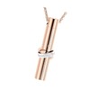 SCGEHA Cremation Pendant Necklace Waterproof Memorial Pendant Pet Stainless Steel,